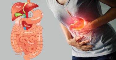 Science Reveals 15 Habits for Better Digestion 1600x900 1