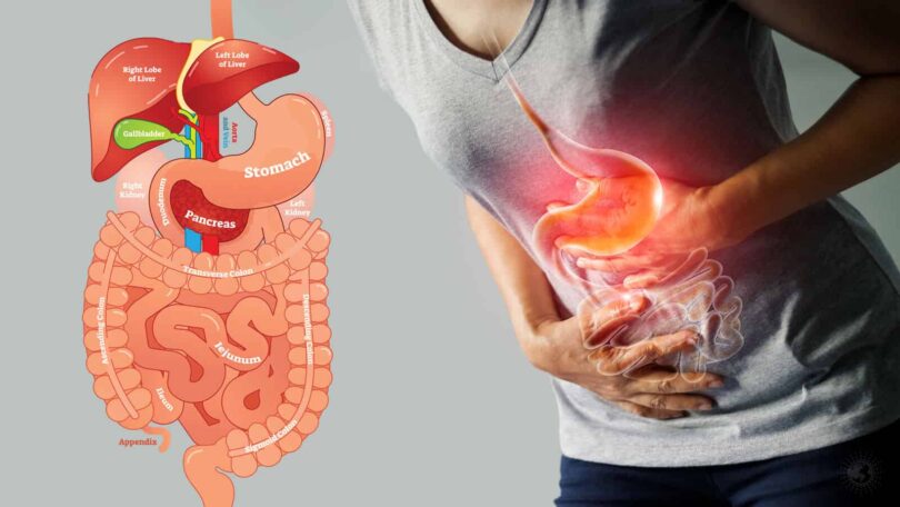 Science Reveals 15 Habits for Better Digestion 1600x900 1
