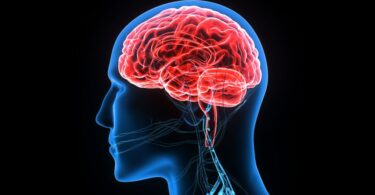 Can spinal cord injuries affect the brain 1 1 1024x576 1