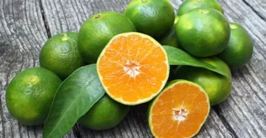 TropTable Green Oranges3