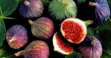 figs getty2400 56a496c75f9b58b7d0d7b522