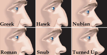 heres what the shape of your nose reveals about your personality 800x420 1